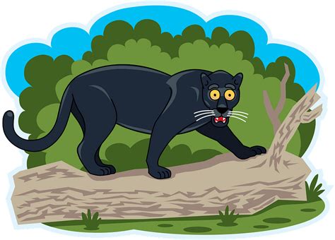 Panther clipart. Free download transparent .PNG | Creazilla