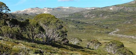 Hiking in Australia – Mt Kosciuszko walk - World best hikes