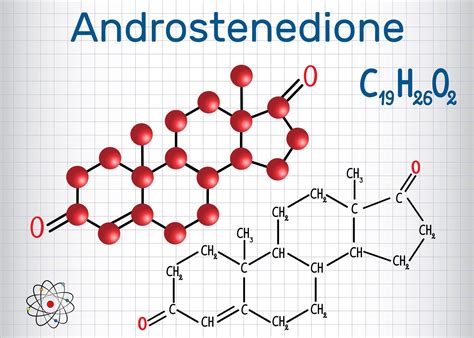 Androstendion SteroideApotheke