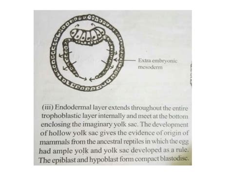 Coelom formation in protostomes and deuterostomes and types of coelom | PPT