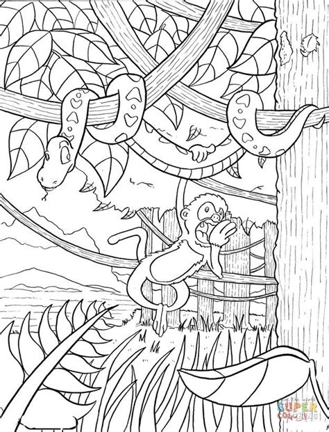 Rainforest coloring page | Free Printable Coloring Pages | Jungle coloring pages, Animal ...