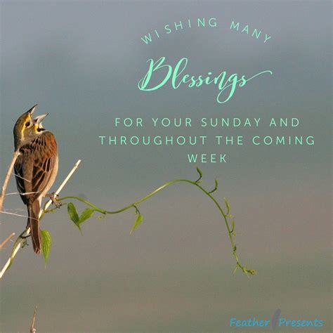 Sunday blessings Good Sunday Morning, Encouraging Thoughts, Weekday ...