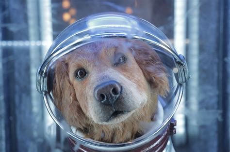 Cosmo the Spacedog From Disneyland's Guardians of the Galaxy | POPSUGAR Smart Living