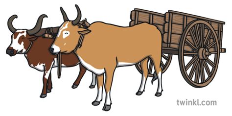 Oxen Pulling Cart Illustration - Twinkl