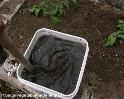 Organic Liquid Fertilizer