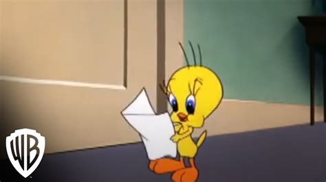 Looney Tunes Super Stars' Tweety & Sylvester: Feline Fwenzy | Admirer | Warner Bros ...