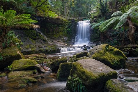 Horseshoe Falls, Mount Field National Park Australia | Turystyka Bez Granic