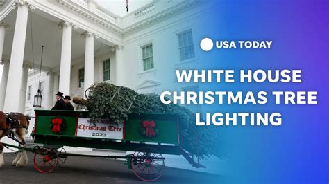 Watch: White House Christmas tree lighting - YouTube