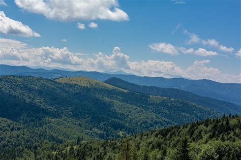 Premium Photo | Summer nature landscape of karpaty mountains.