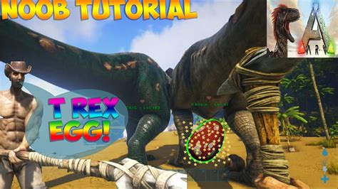 ARK: SURVIVAL EVOLVED T-REX EGG HATCHING HOW TO HATCH EGGS [TIMELAPSE] - YouTube