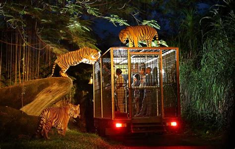 Night Safari Singapore - AricRaheeb