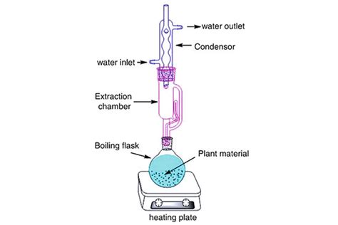 Plant Extraction - Histogenotech