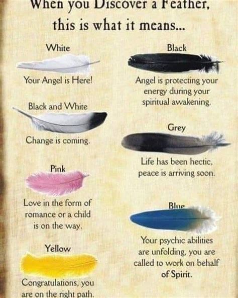 Been seeing lots of black feathers lately. Spiritual awakening isn’t a ...