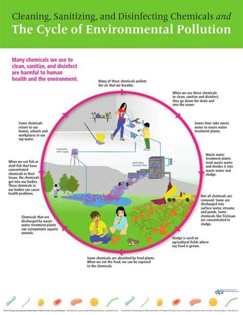 Cycle of Environmental Pollution