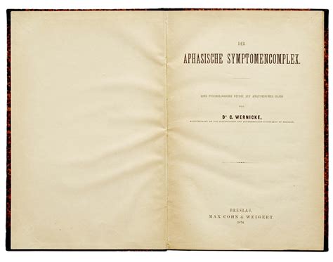 File:Wernicke der aphasische Symptomkomplex 1874.jpg - Wikimedia Commons
