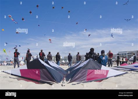 A megateam kite display at Berck International Kite Festival, Berck Sur ...