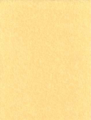 Light Parchment Paper (25 Pack) 8 1/2" x 11" - New Moon Cottage