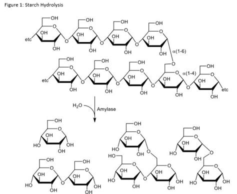 starch hydrolysis products