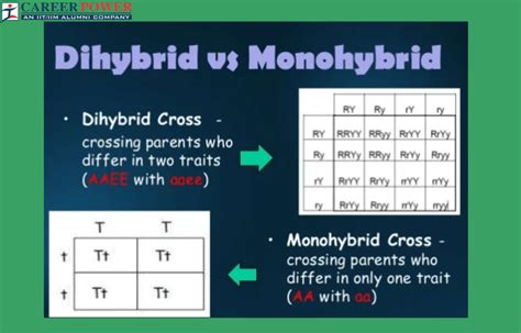 Difference Between Dihybrid Cross and Monohybrid Cross