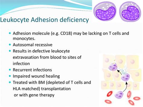 PPT - Immunodeficiency PowerPoint Presentation, free download - ID:6892480