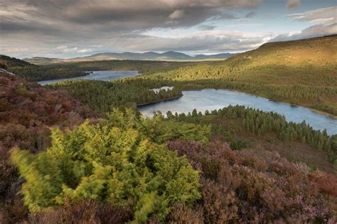 Highland Odyssey | Cairngorms national park, Trip, Nature photography