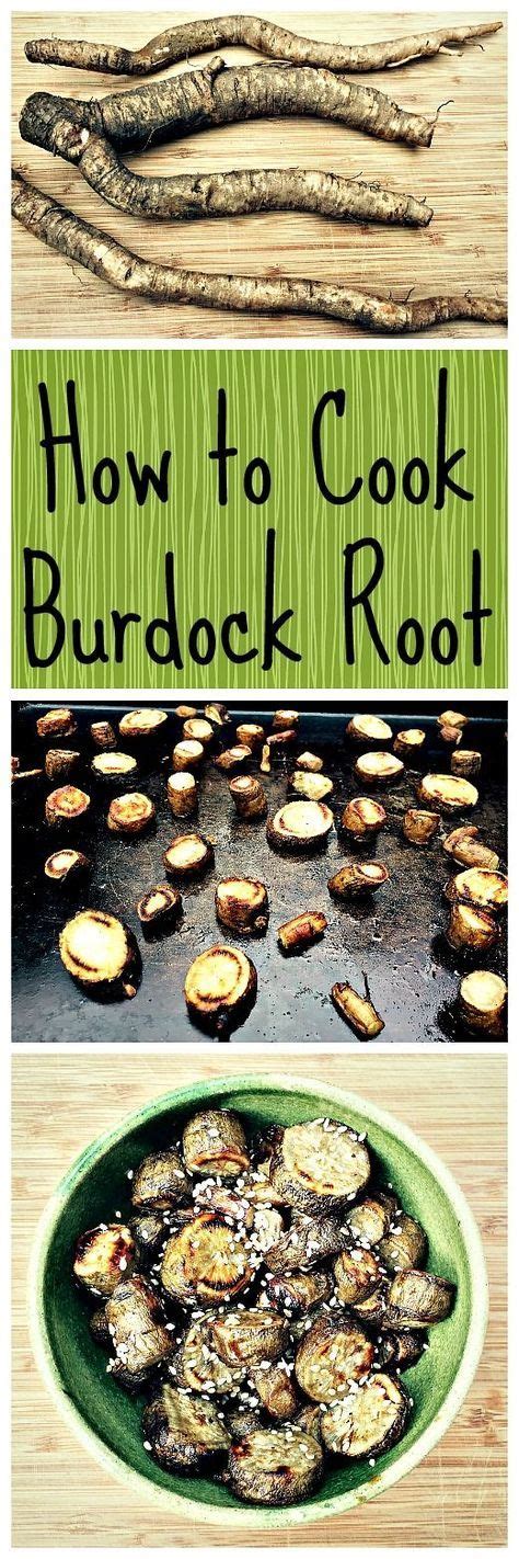 Burdock root is great for the garden and has amazing medicinal benefits ...