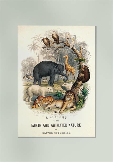 Animal Kingdom Nature Poster – Kuriosis Fine Art GmbH