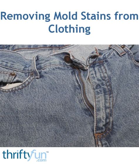 Cleaning Mold Stains from Clothing | ThriftyFun