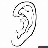 Ears Coloring Pictures sketch template