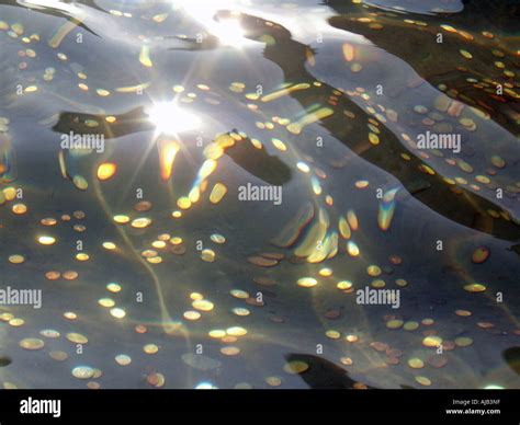 lots of coins in a wishing well Stock Photo - Alamy