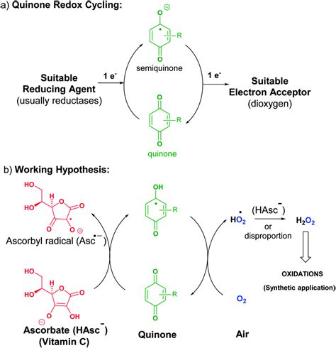 Oxidation with air by ascorbate-driven quinone redox cycling - Chemical Communications (RSC ...