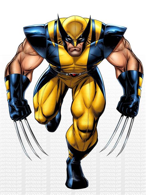 Wolverine | Wolverine comic, Wolverine cartoon, Wolverine comic marvel