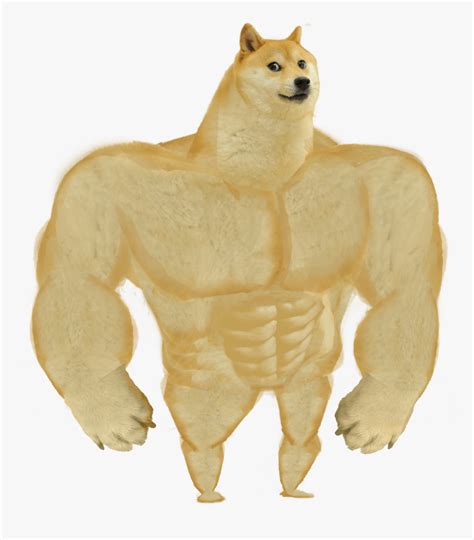 Buff Doge, HD Png Download , Transparent Png Image - PNGitem