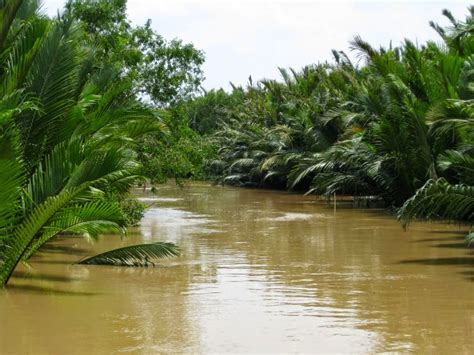 Discover Vietnam: Mekong River Delta Tour in flood season - Vietnam Visa Services | Landing visa ...