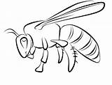 Free Printable Bee Coloring Pages For Kids sketch template
