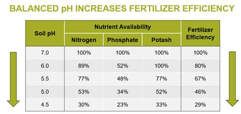 The importance of soil pH testing - Country Folks