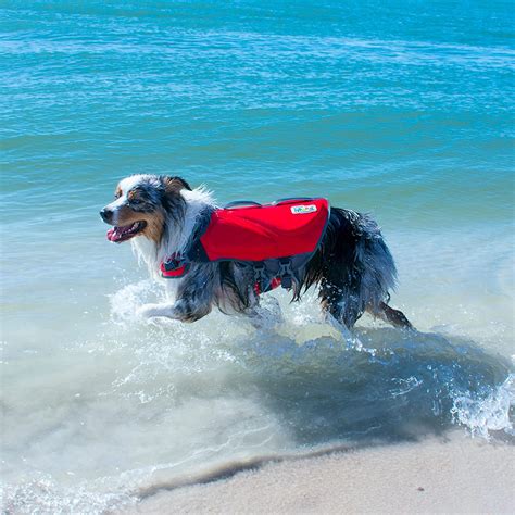 25 Must-Have Dog Boat Accessories For Every Pup (2024)