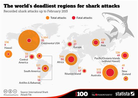 Every shark attack ever recorded captured on map | Queensland Times