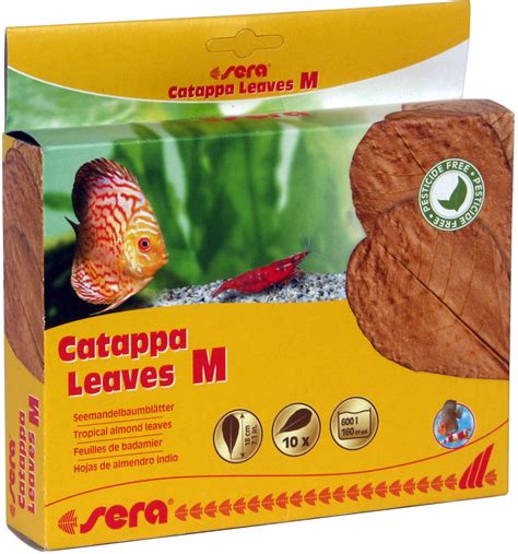 sera Catappa Leaves -Tropical almond leaves-