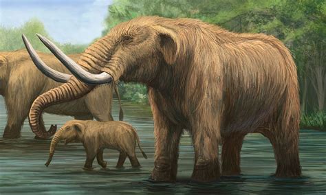 Paleoillustration | Prehistoric world, Prehistoric wildlife, Extinct animals