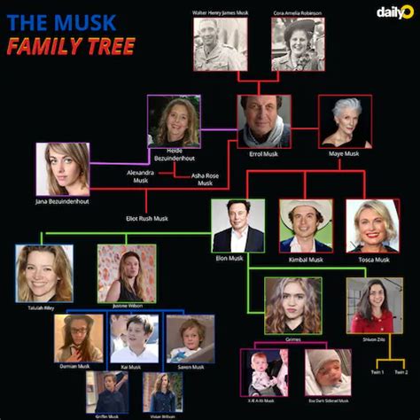 Elon Musk family tree