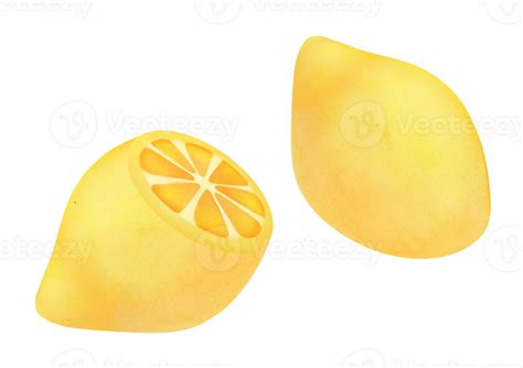 Hand drawn Watercolor Fresh Lemons fruit on white background. sour Ingredient for homemade ...
