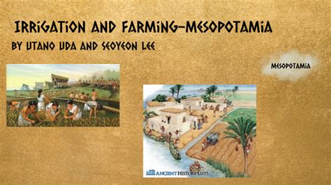 Ancient Mesopotamian Irrigation Systems