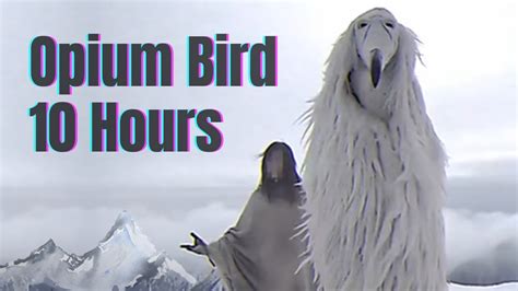 Opium Bird 10 Hours - YouTube