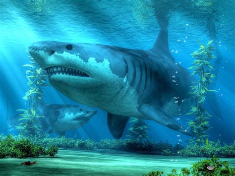 The Biggest Shark Digital Art by Daniel Eskridge