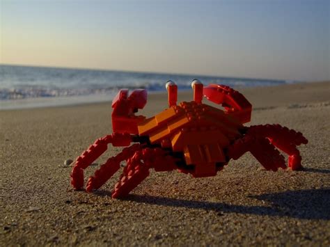 LEGO Express • theaxiscondaxiss: Lego crab stares meaningfully...