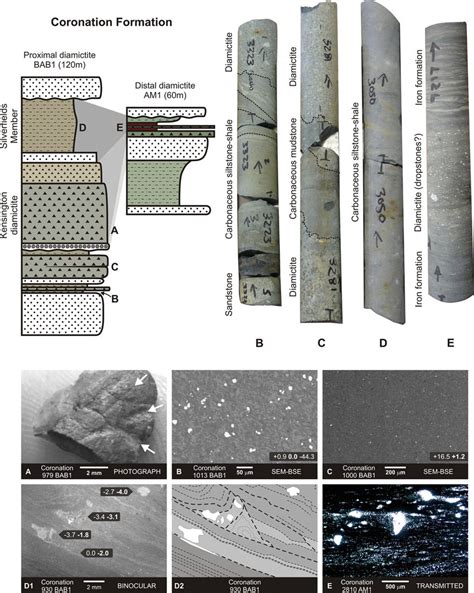 The Coronation Formation (Kensington diamictite Member). Proximal... | Download Scientific Diagram