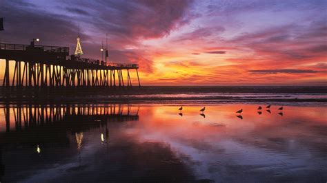 Visitez Pismo Beach : le meilleur de Pismo Beach, Californie pour 2022 | Expedia