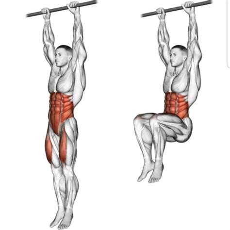 Hanging Knee Raise by Beyond Conditioning - Exercise How-to - Skimble