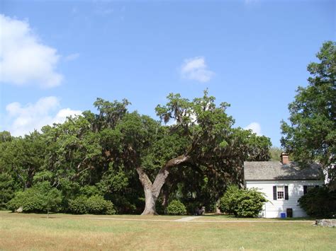 Retired Life: Charles Pinckney National Historic Site, Charleston, SC